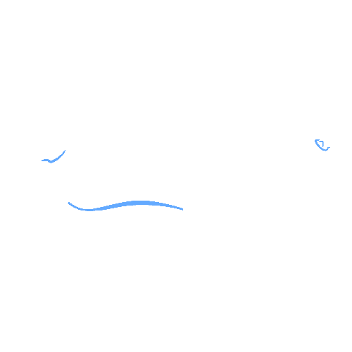 Executive Automotive Detailing